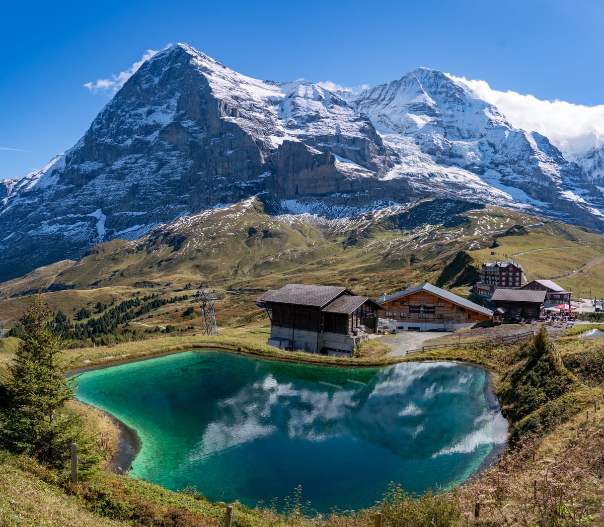 AI and the Imminent Death of Capitalism