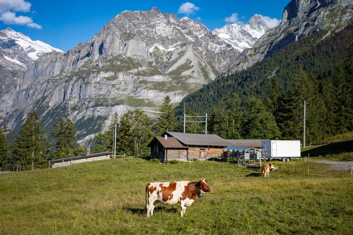 The Hidden Advantage of Sharp Edges — Why Being Disagreeable is Best