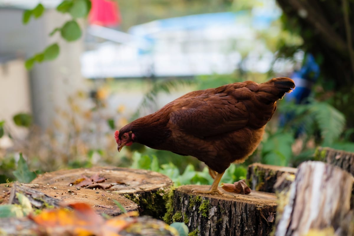 The Hidden Cost of Process: A Guide for Tech Leaders