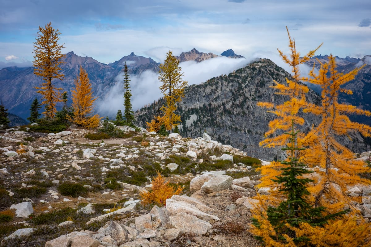 Twelve Career Lessons They Don’t Put in Onboarding