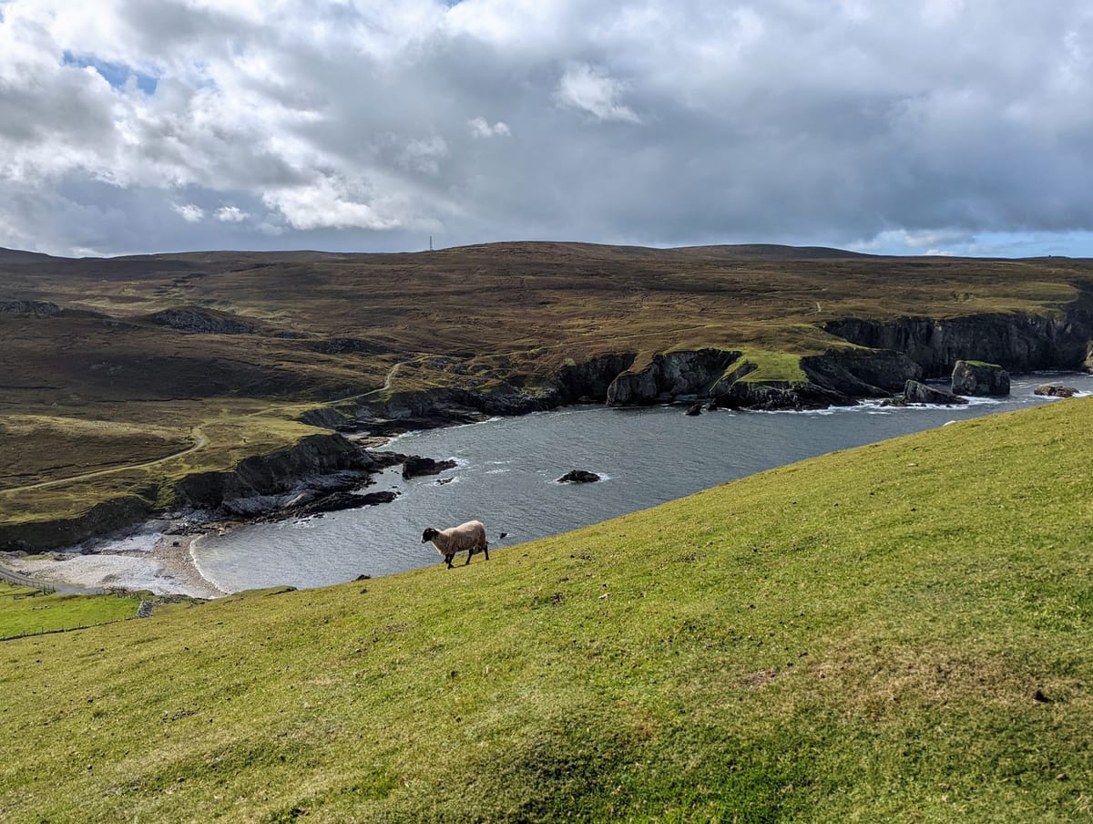 A Guide to Writing Status Reports - I'm Not Joking, I Totally Wrote an Article About That