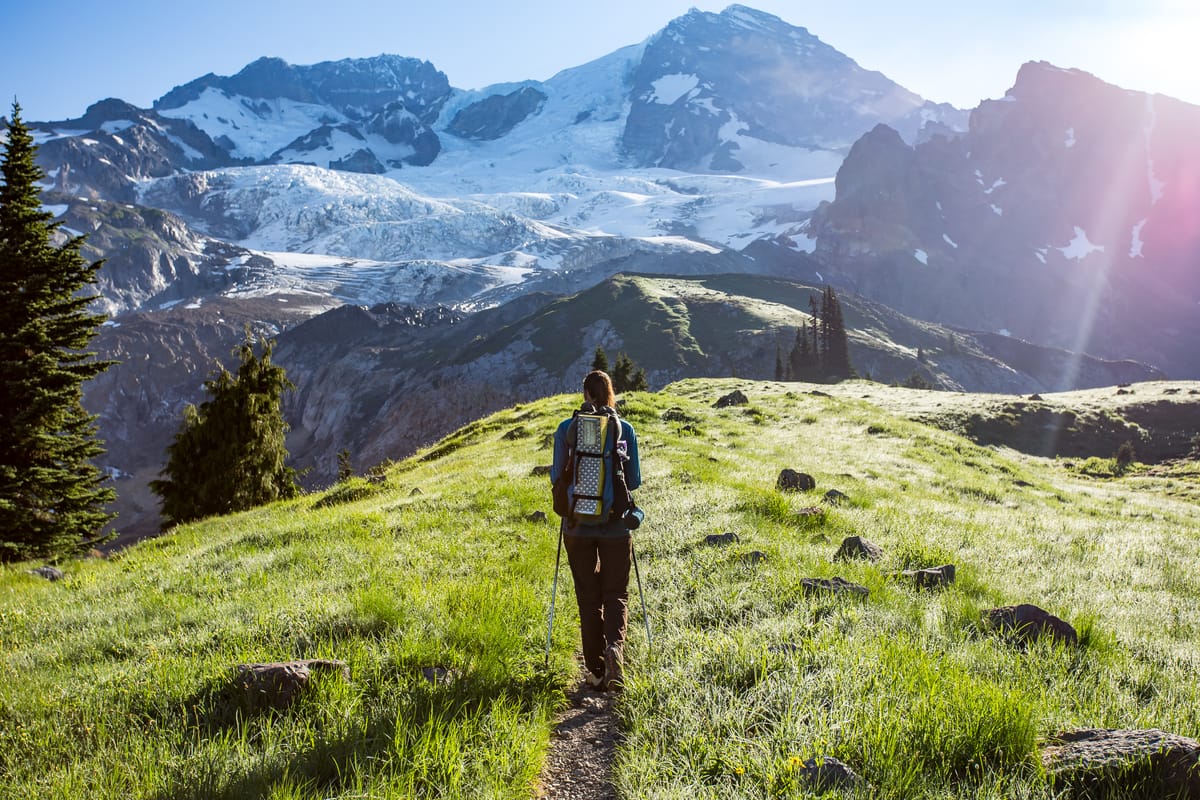 Discover Exactly Why Insisting on High Standards is a Thorny Issue