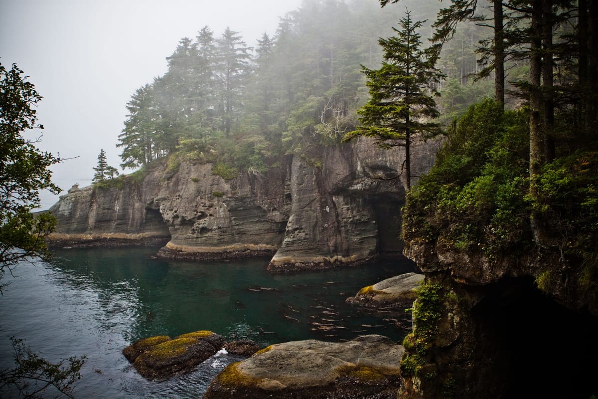 Navigating Pivotal Moments in Your Career