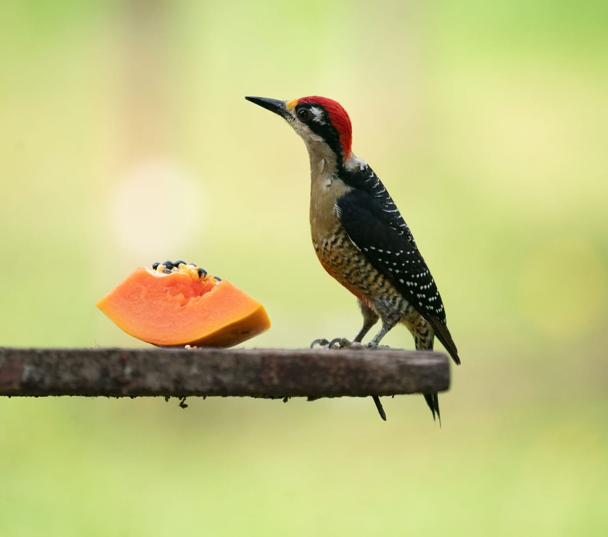 A Complete Guide to Using a Coach or Mentor Effectively