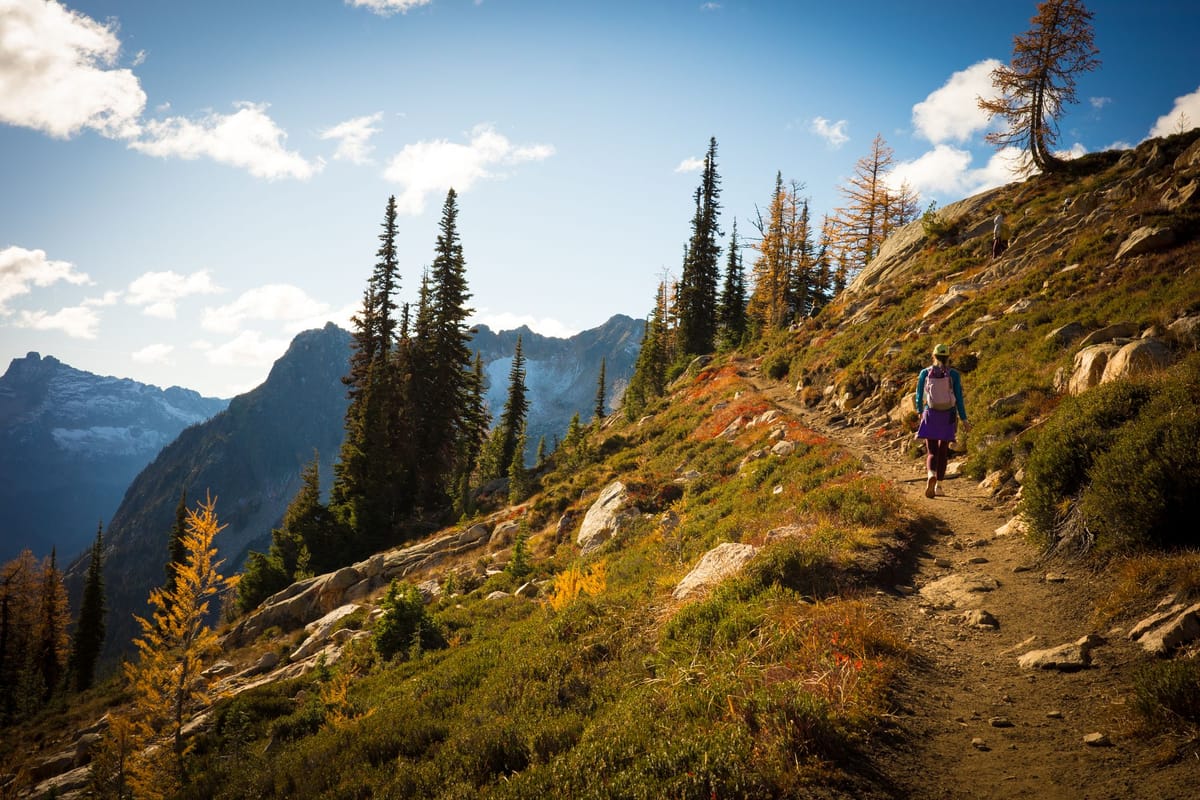 A Few Days of OP1 — Perspectives From Middle Management