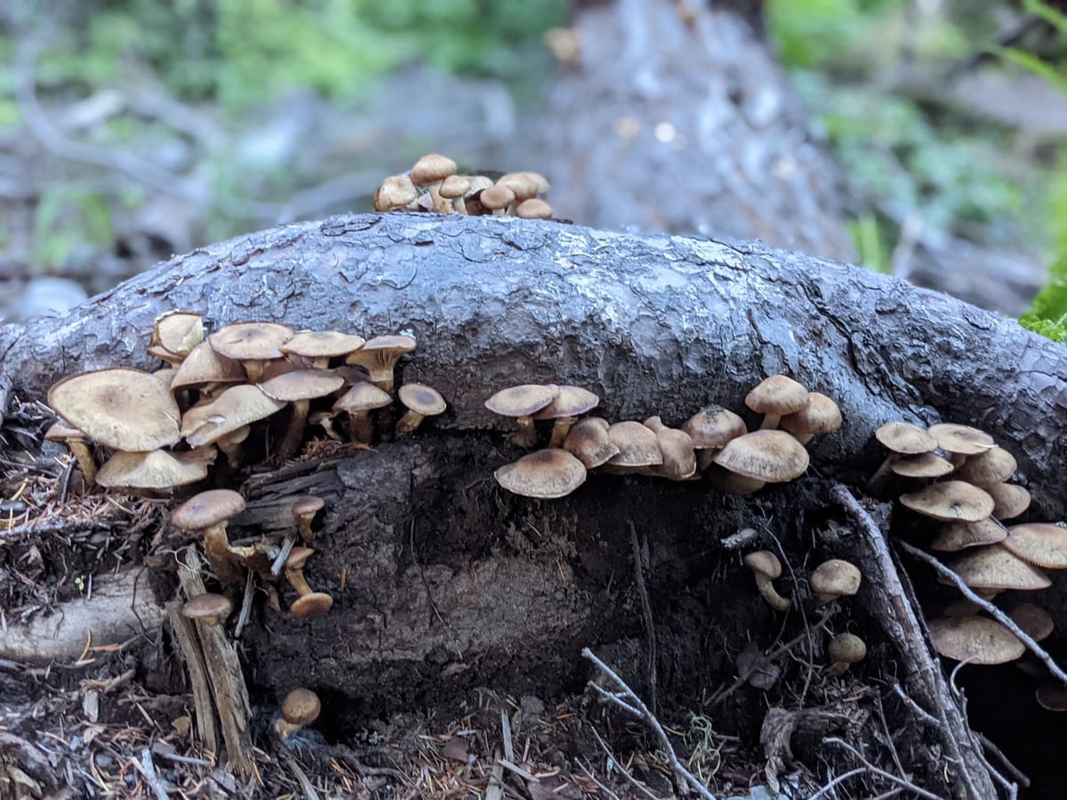 Swim Upstream or Float Downstream – Change Your Environment to Change Your Behavior