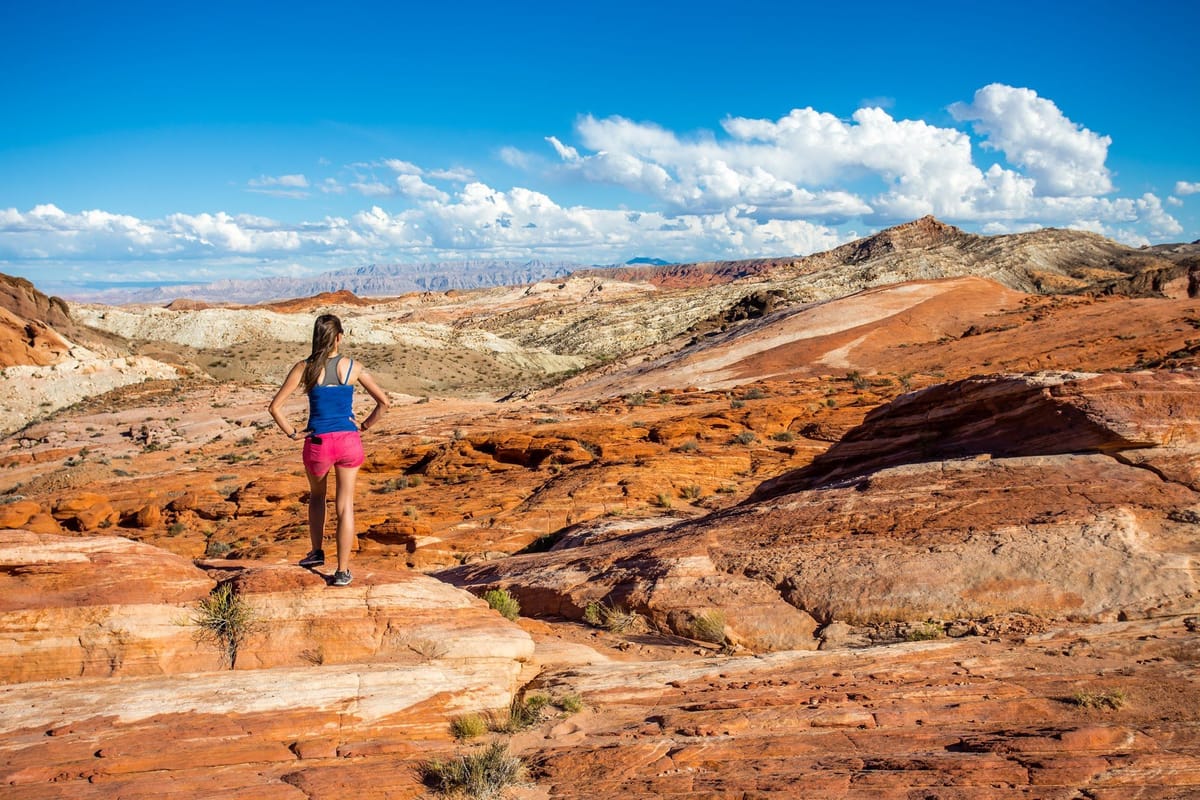 Failed and Successful Stories of Work-Life Balance