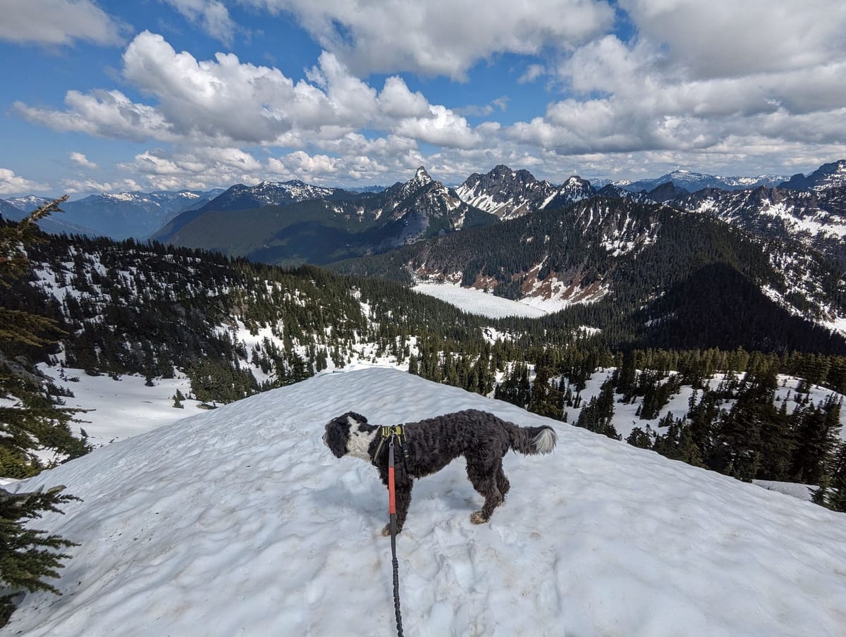 What Happens If You're Hit By a Bus? A Guide to Succession Planning.