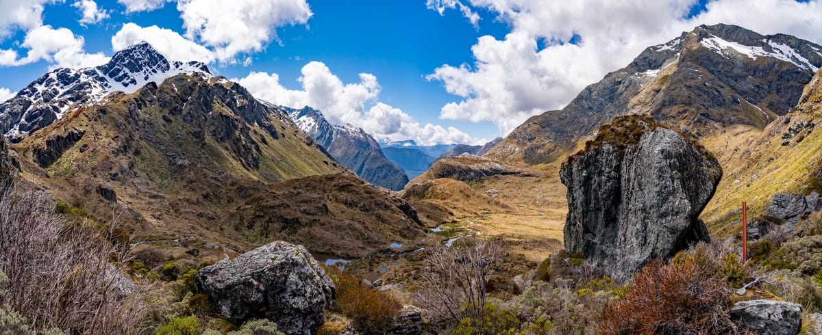 KPIs Gone Wild: Cautionary Tales of Lost Customer Obsession