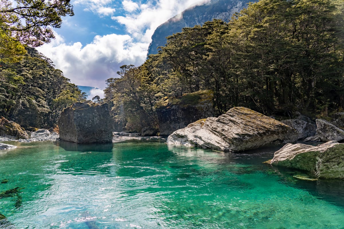 A Day in the Life of a Senior Manager at Amazon Creating the World's Worst Operations Meeting