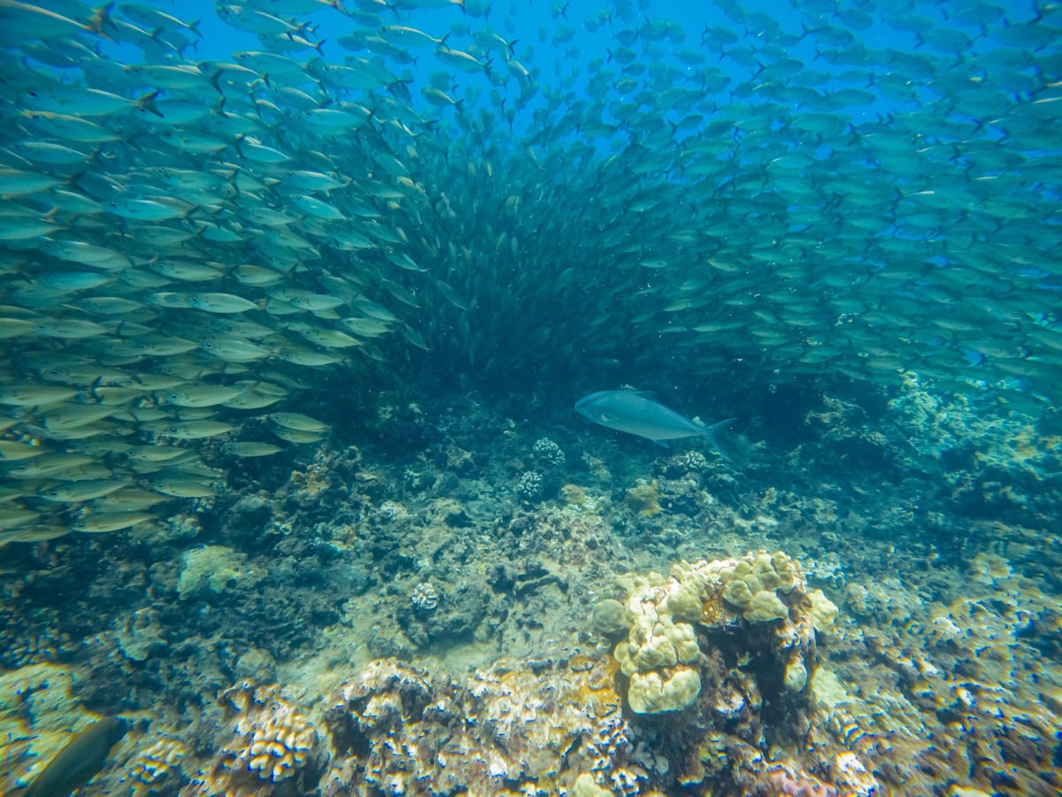 Take on a Secret Challenge to Get Your Manager Promoted