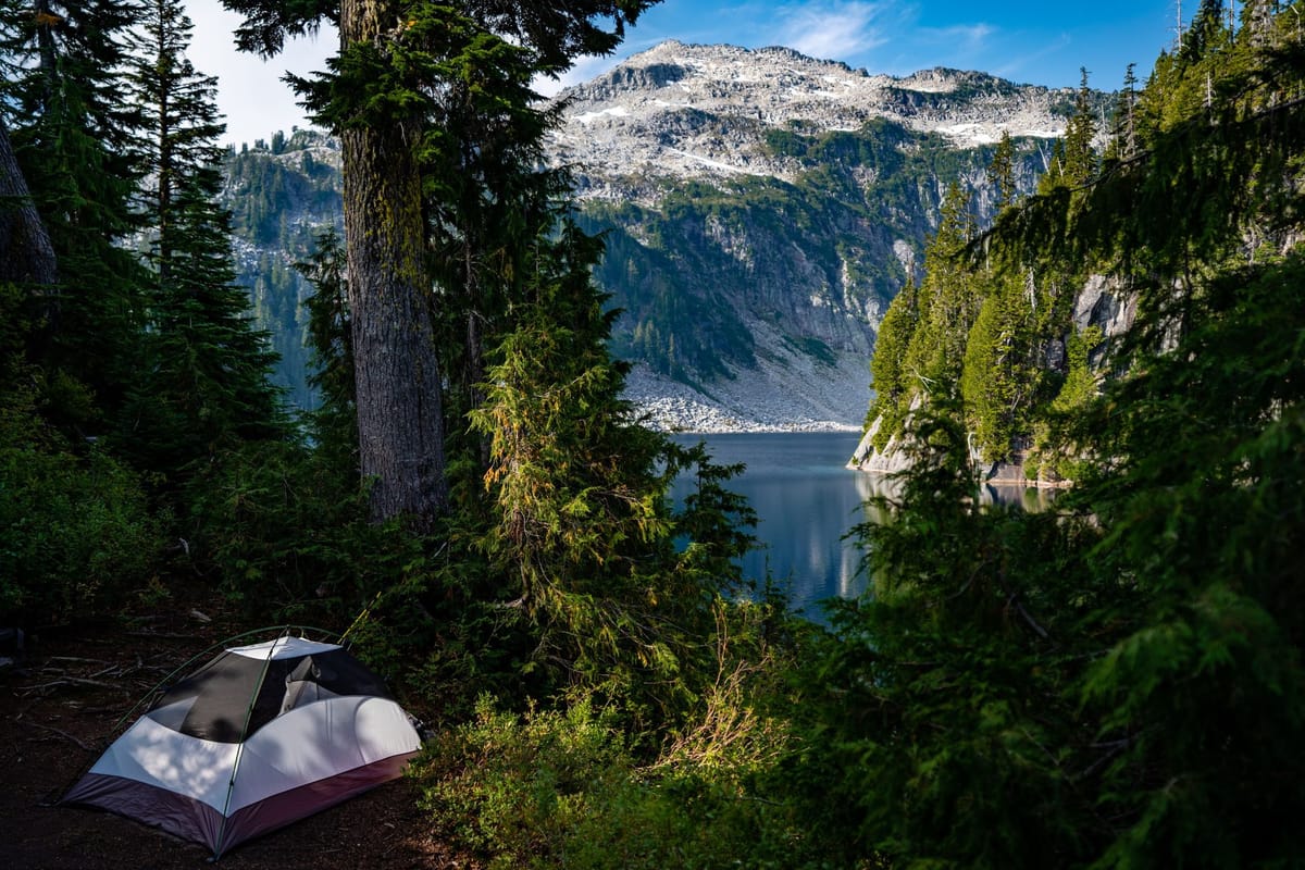 My Missed Career Opportunities, Or Why I'm Not an SVP