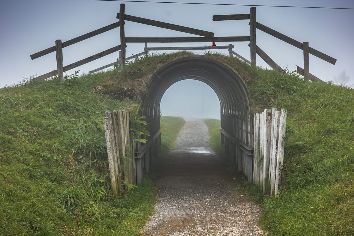 A Three Topic Article — Interviewing, Multiple Choice Management, and My Holiday Gift Guide