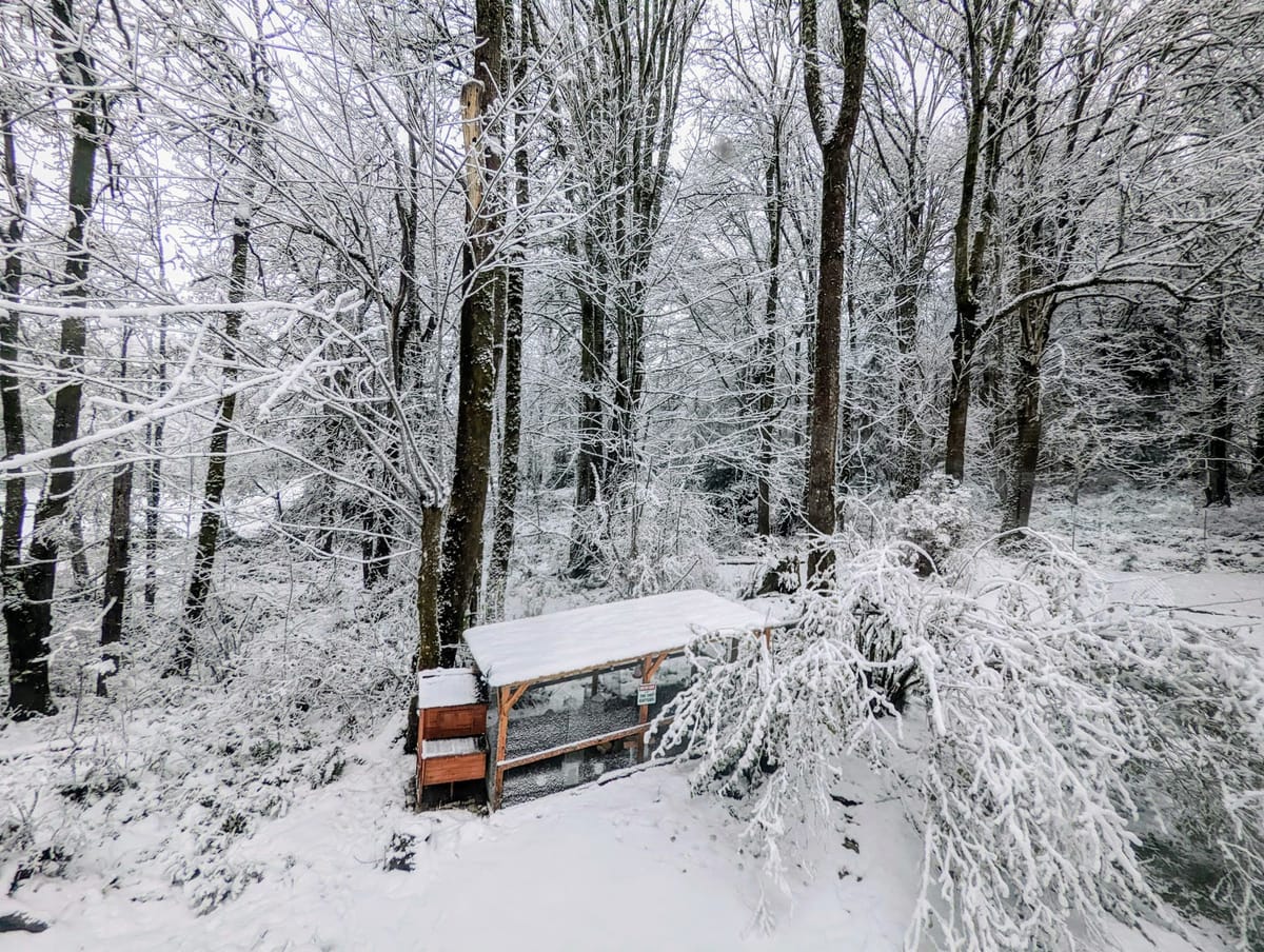 How to Increase the Agility of Your Organization, Improve Quality, and Reduce Costs