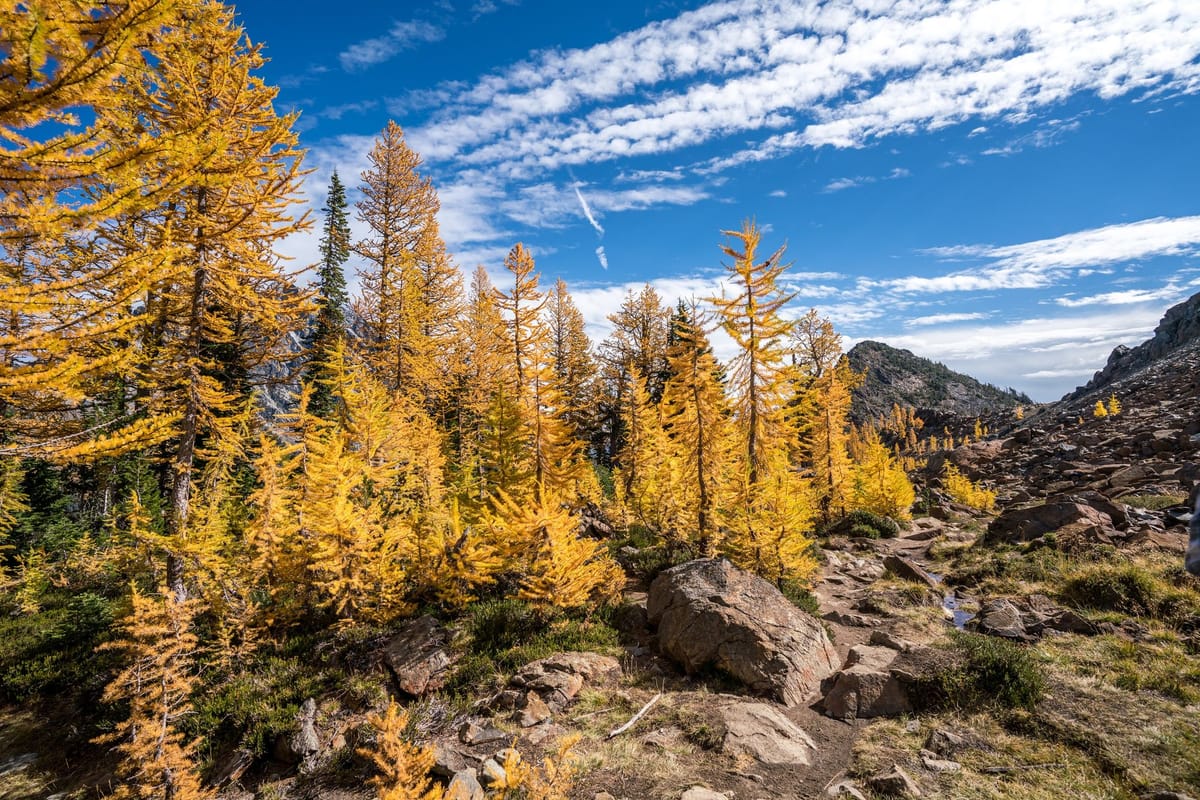 How to Ask Your Manager For a Promotion - Own Your Career!