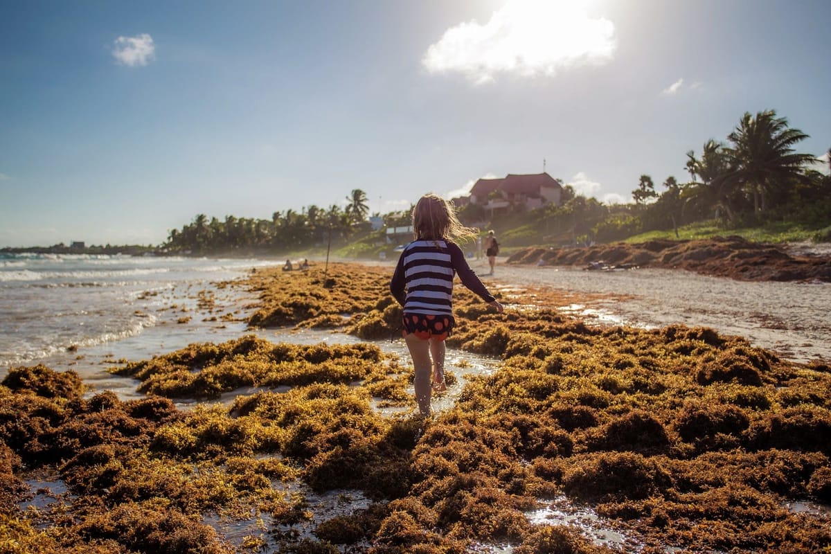 21 Terrible Interview Answers Guaranteed to Get You Rejected From That Job Opportunity