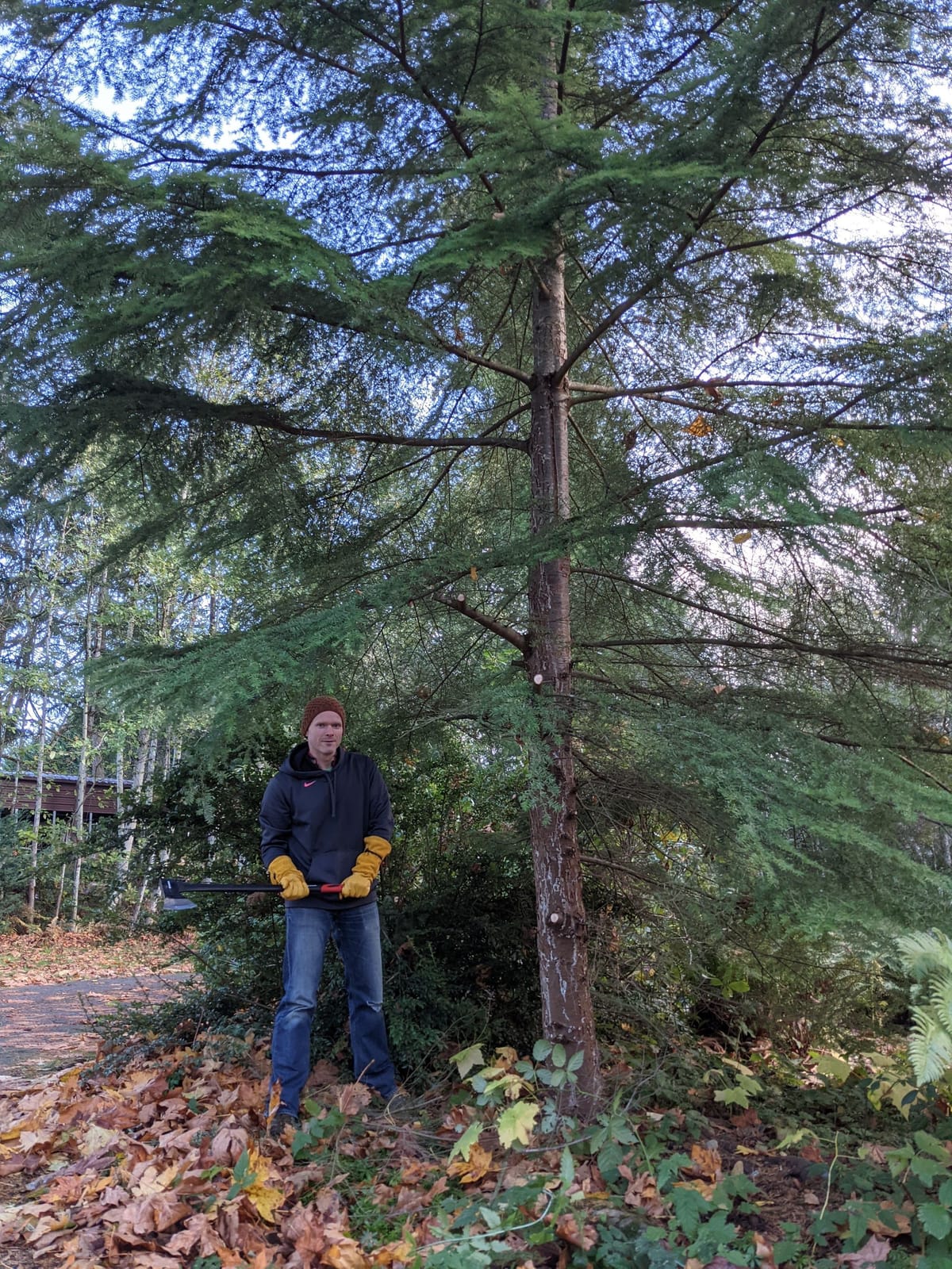 Enjoying My Break - Briefly Saying Hello