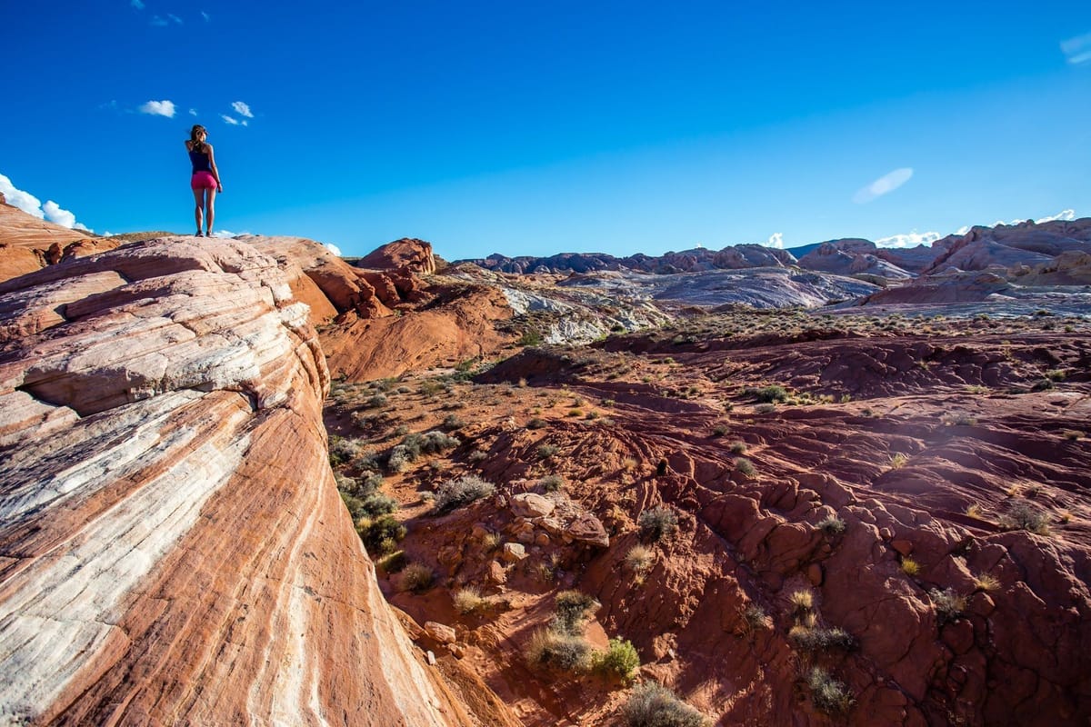 Why You Should Give Feedback — And How to Deliver It Without the Awkward Crying