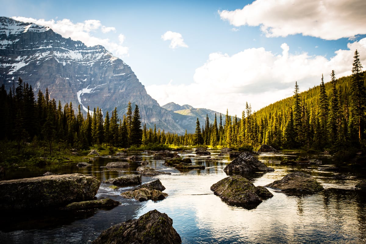 Big Companies Don’t Get Slower Because They Become Stupid