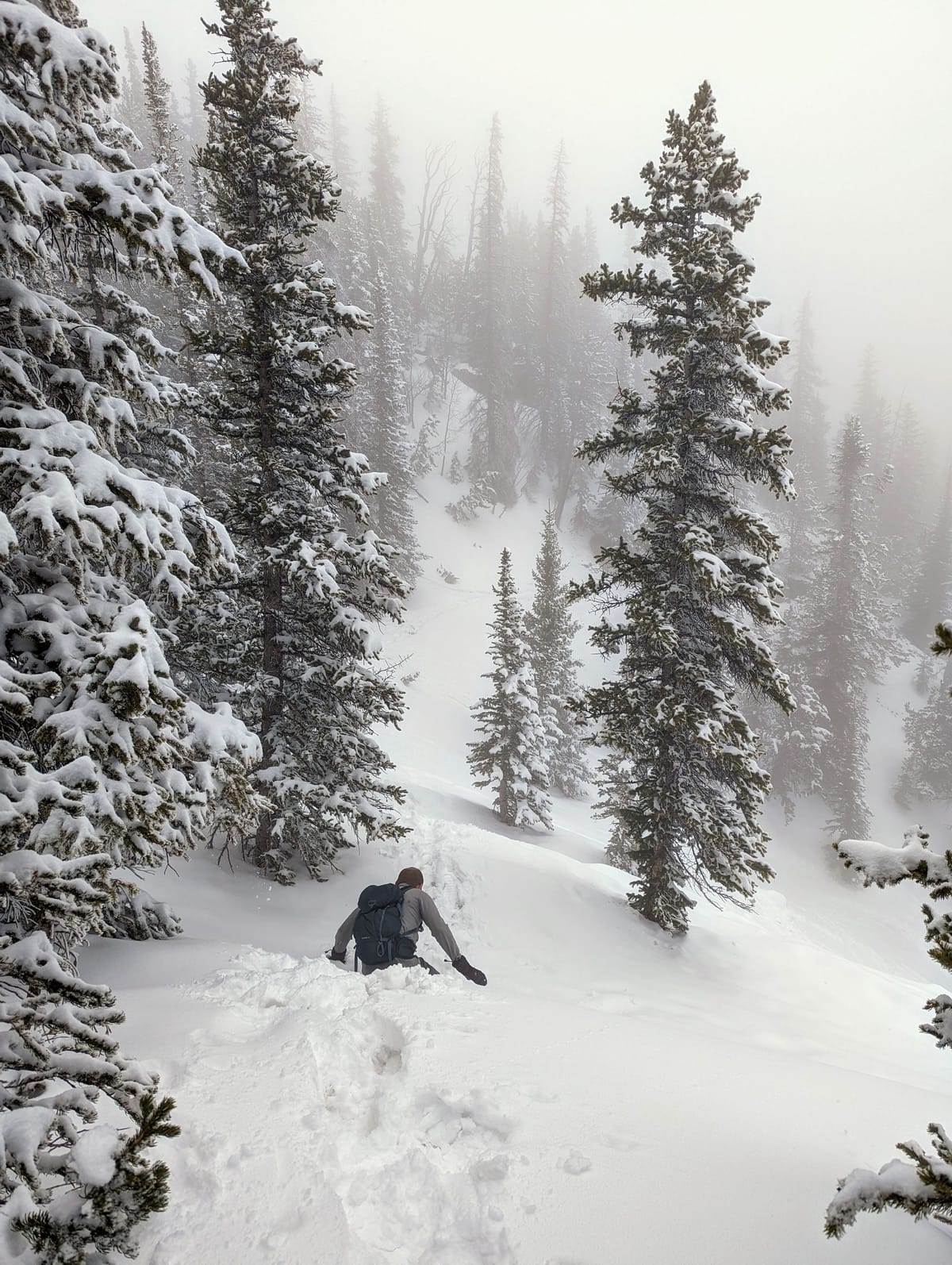 Your Employee Is Smarter Than You, and That's Ok