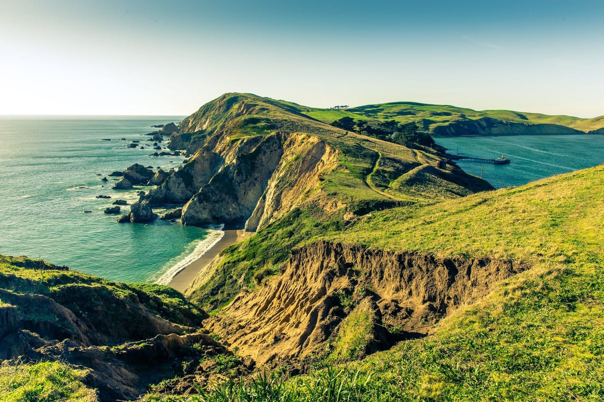 Why Amazon is Innovative - Roadmap Before Resources