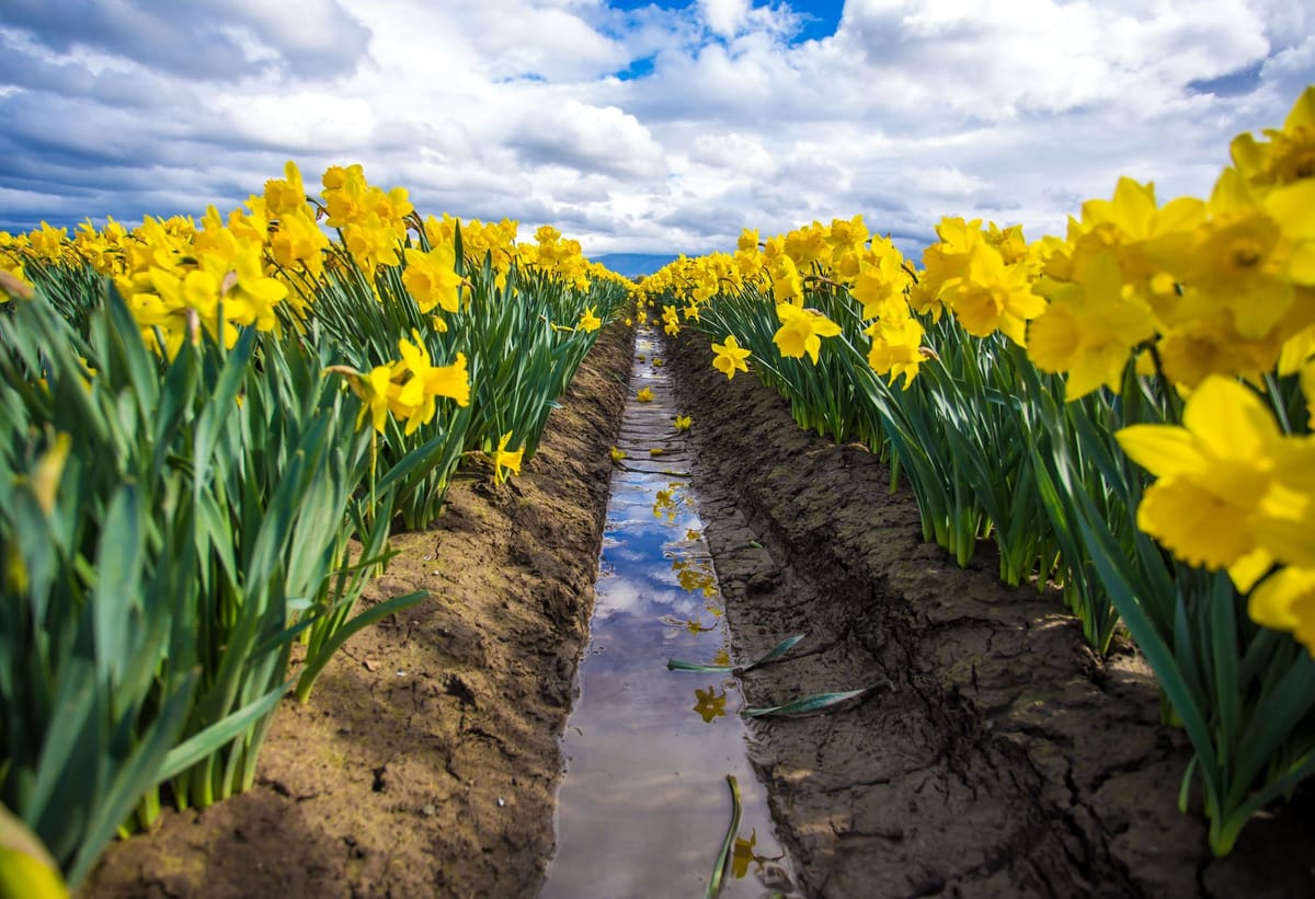 Achieve More by Doing Only One Thing a Day