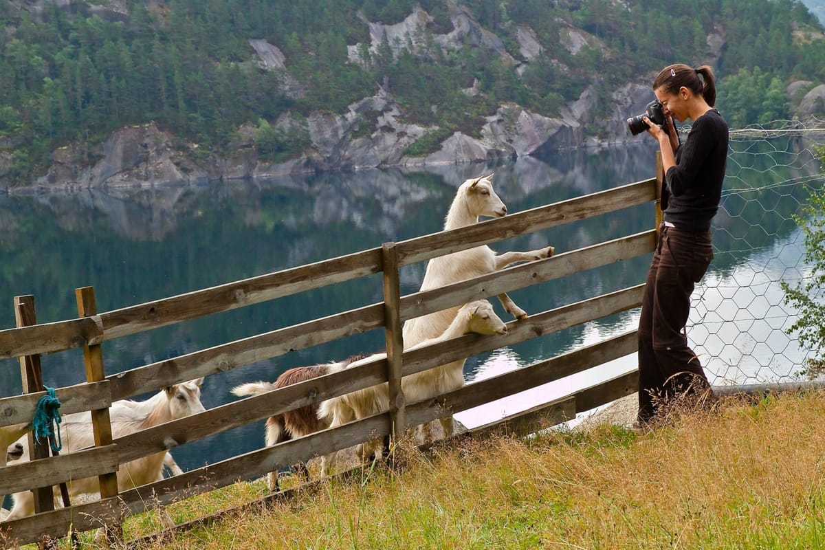 Finding an Explanation vs. Permanent Resolution of Issues