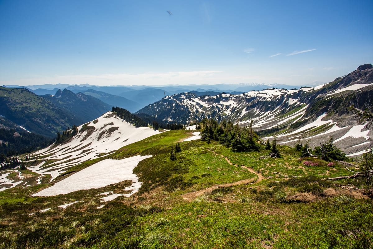 6 Mechanisms Which Drive Personal Career Success