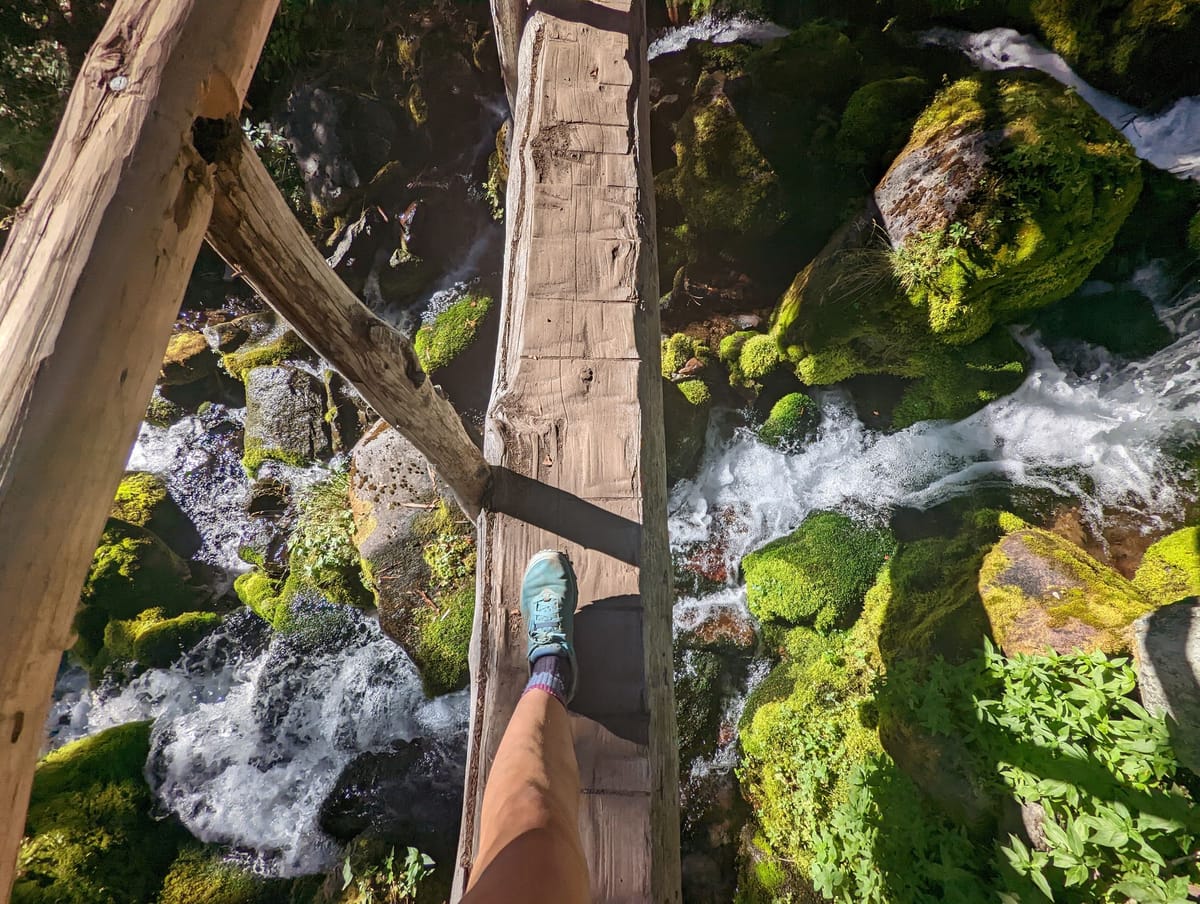 Decisions at Scale. The Ownership Model and Organizational Structure at Amazon.