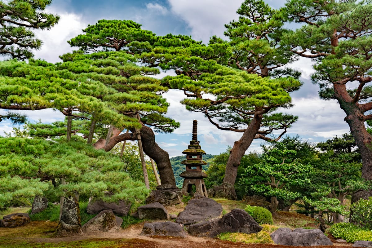 A Simple Guide to Financial Independence