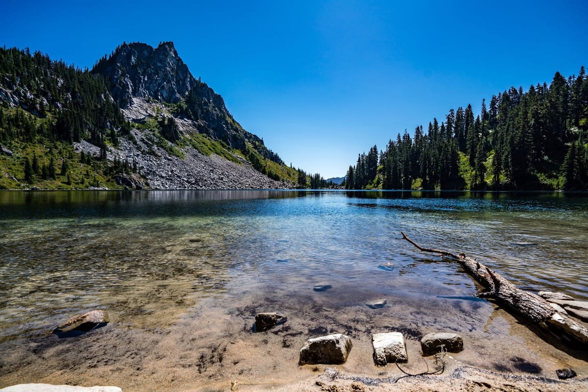 The 4 Major Impacts of Amazon's Decentralization and Ownership Model