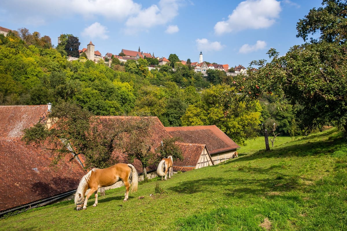 From Star Employee to Struggling Leader — A Simple Explanation of Your Manager's Incompetence