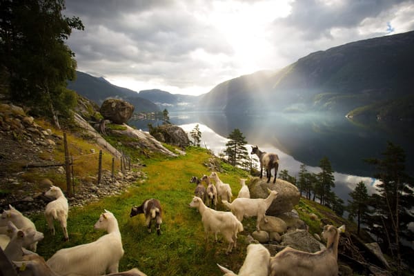 Finishing Your Tasks Doesn’t Mean You’re Doing Your Job