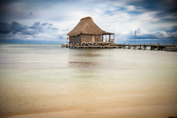 Relying on Your Manager Isn’t a Career Plan