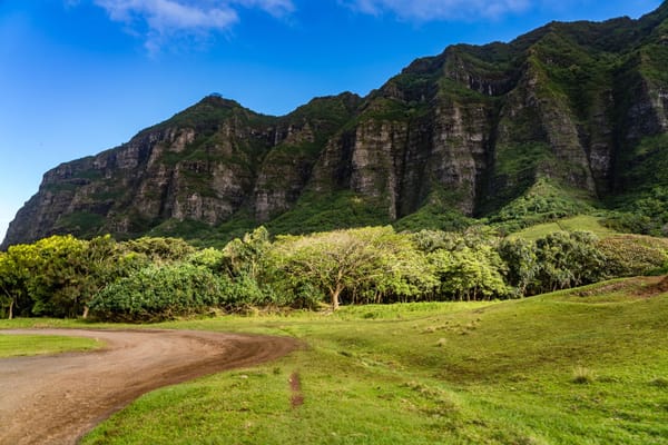 Navigating Career Bottlenecks in Management aka How to Progress to Middle Management