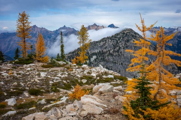 Twelve Career Lessons They Don’t Put in Onboarding