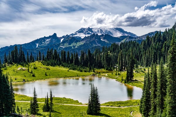 Answer the Unasked Questions — A Guide to Proactive Communication