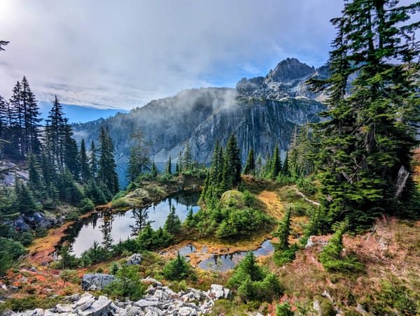 An Announcement, a 2.5 Year Newsletter Update, and My Highest Ever ROI Action at Amazon