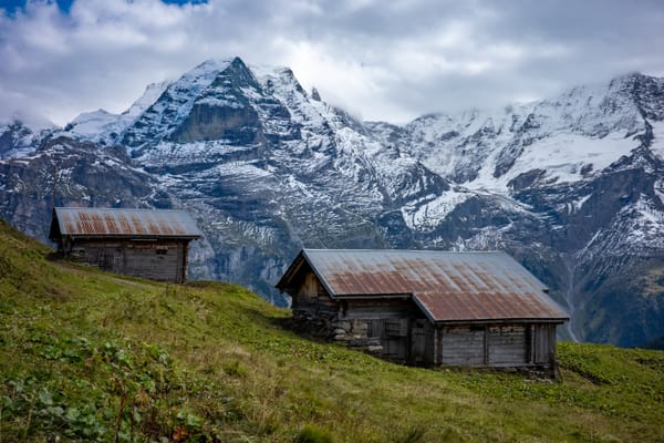 Your Strength Got You Here, but Doing The Opposite Will Take You Farther