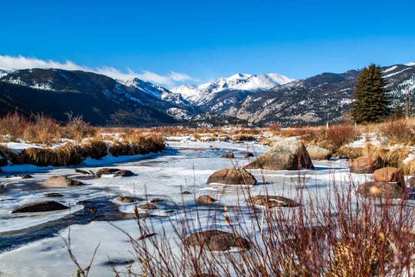 A Detailed Account of a Failed Principal Promotion