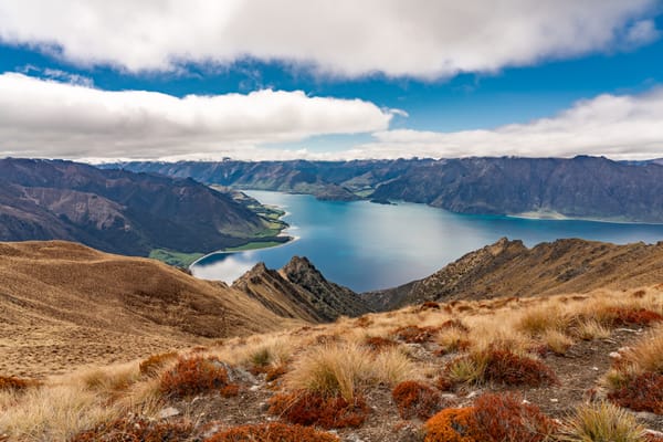 You're Poisoning Yourself in that Toxic Work Environment