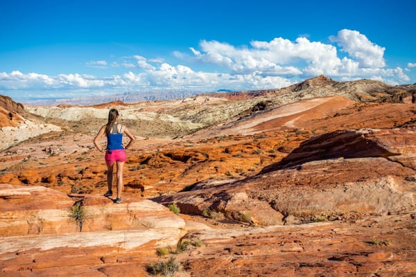 Failed and Successful Stories of Work-Life Balance