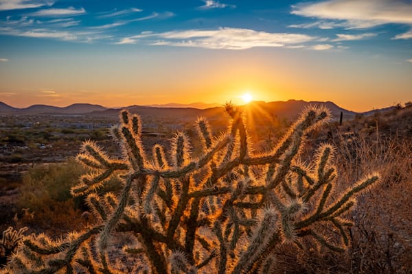 How I Transformed Amazon's Internal Transfer Process