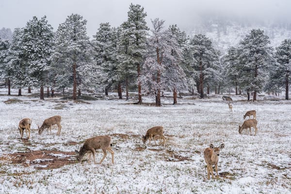 Meetings Are Usually Awful, But Yours Won't Be Anymore