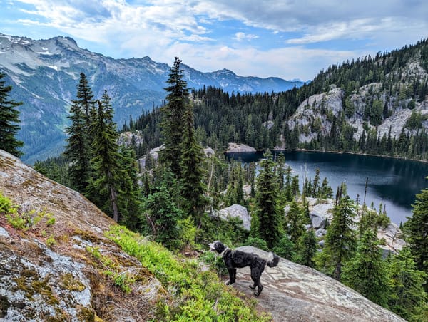 A Guide to Bare Minimum Management