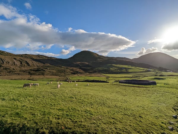 A Guide on Building Your Newsletter and Coaching Business