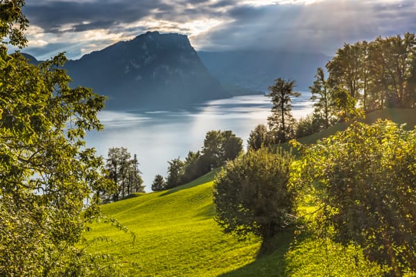 Stories of Good and Bad Feedback Dave Received From His Managers