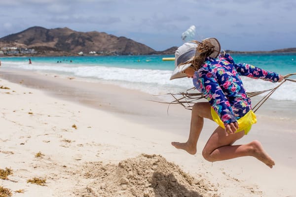 Dealing with Negative Internal Politics.