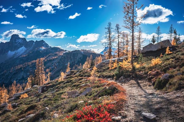 Crush Your Interviews with the Power of Storytelling