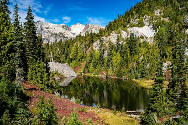 Your Peers Disagree with Your Promotion, and Commit to Blocking It—Why Your Team Isn't Getting Anything Done